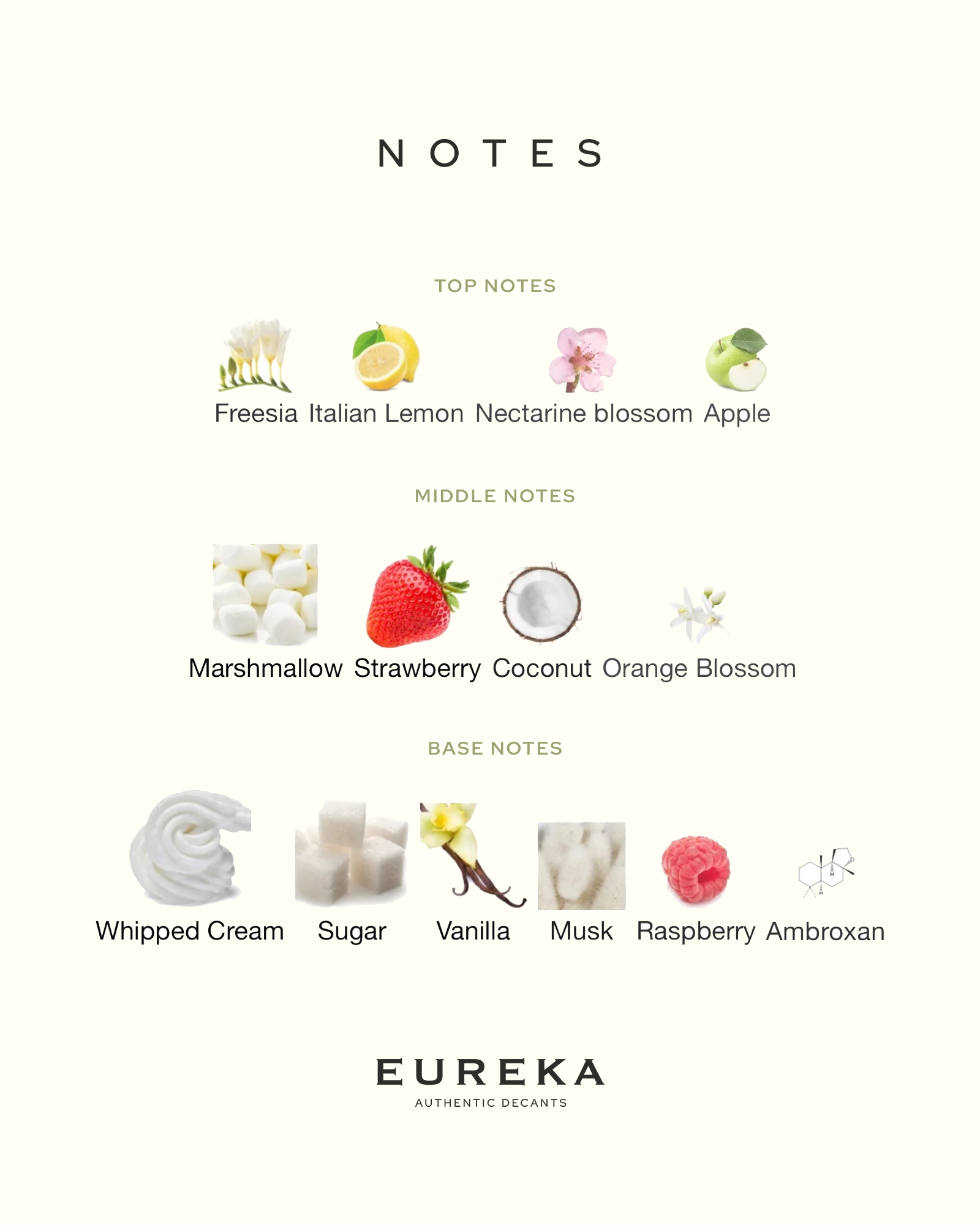 Yum Boujee Marshmallow 81 EDP Intense 10 ml Eureka Decant